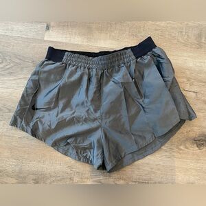 Vintage Metallic Nike Shorts